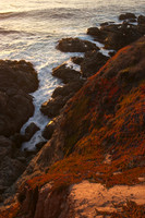 Garrapata State Park
