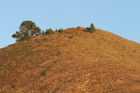 Garrapata SP