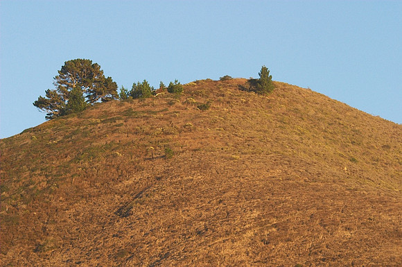 Garrapata SP