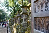 Kasuga Taisha (春日大社)
