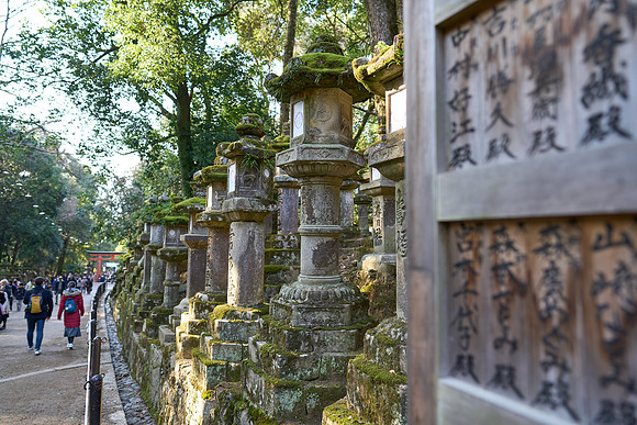 Kasuga Taisha (春日大社)