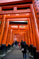 Fushimi Inari Taisha Sembon Torii (千本鳥居)