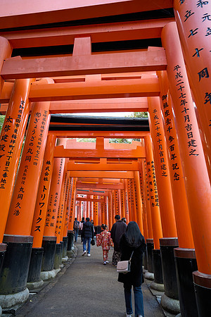 Fushimi Inari Taisha Sembon Torii (千本鳥居)