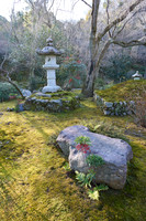 Tenryu-ji (天龍寺)