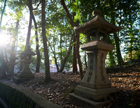 Fushimi Inari Taisha Sembon Torii (千本鳥居)
