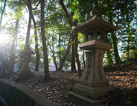 Fushimi Inari Taisha Sembon Torii (千本鳥居)