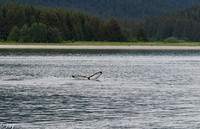 Juneau
