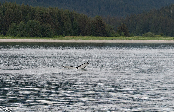 Juneau