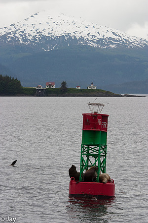 Juneau