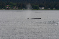 Juneau