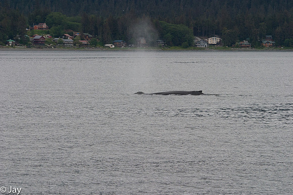 Juneau