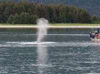 Juneau