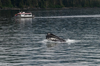 Juneau