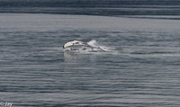 Juneau