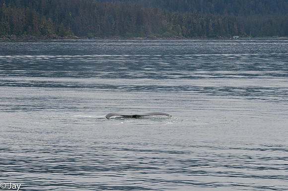 Juneau