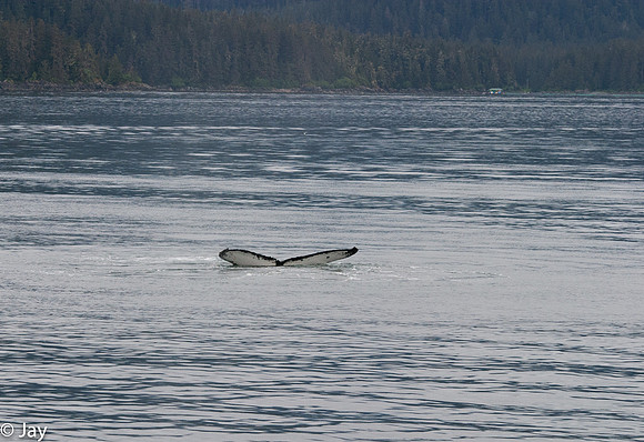 Juneau