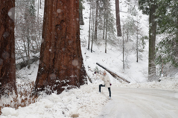 Sequoia National Park