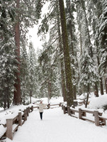 Sequoia National Park