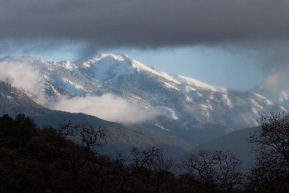 Sequoia National Park
