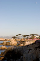 Pacific Grove near Lovers Point