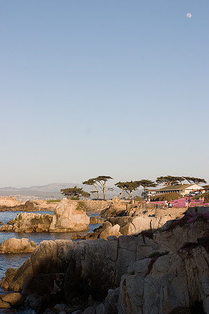 Pacific Grove near Lovers Point