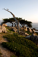 Pebble Beach