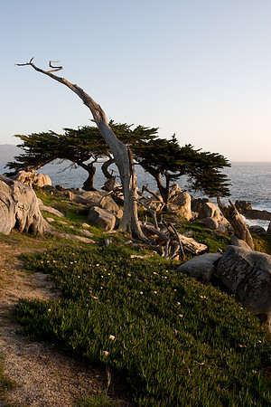 Pebble Beach