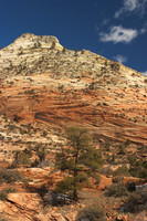 Zion