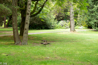 Vancouver
