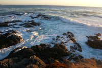 Garrapata SP