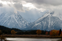Yellow Stone Grand Teton Landscape Wildlife