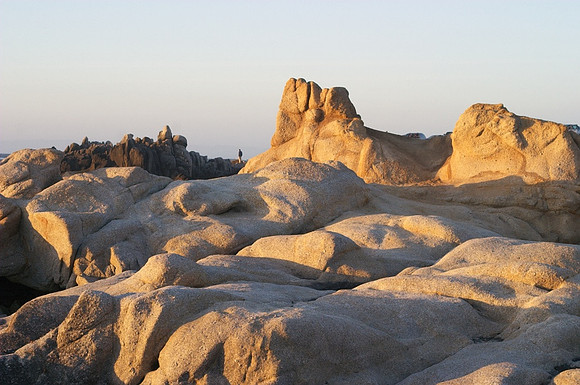 Asilomar State Beach