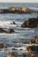 Asilomar State Beach