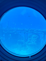 Atlantis Submarines Waikiki