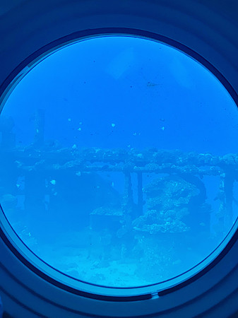 Atlantis Submarines Waikiki