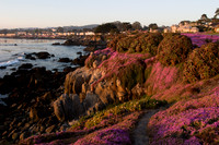 Castle by the sea in Pacific Grove