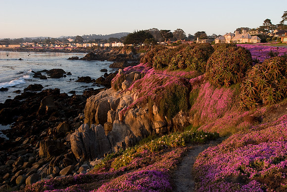 Castle by the sea in Pacific Grove