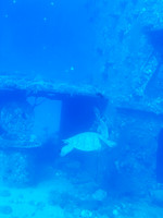 Atlantis Submarines Waikiki