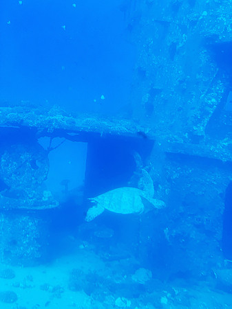 Atlantis Submarines Waikiki
