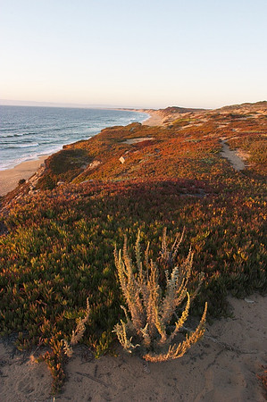 Seaside Beach